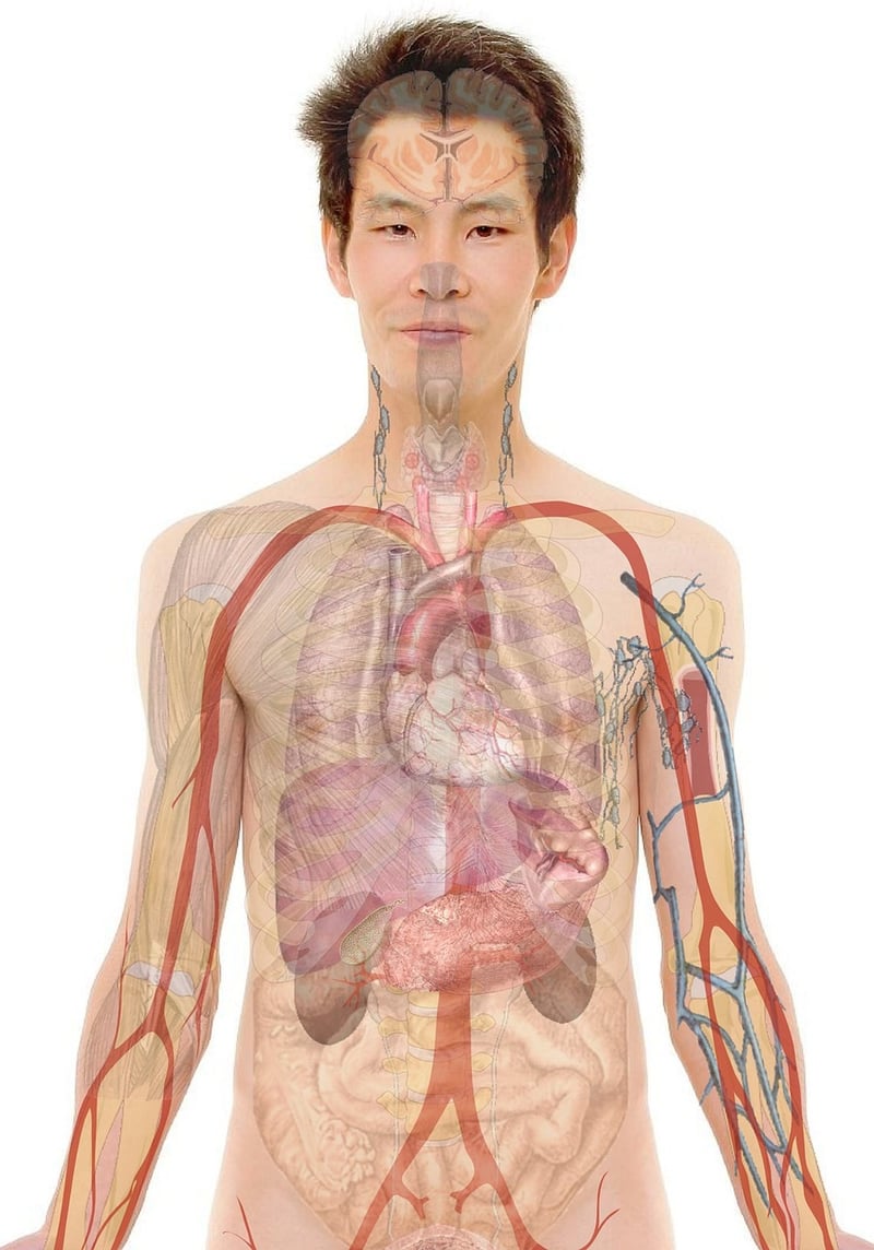 Body Scan Practices